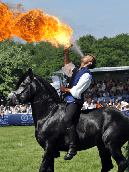 Atkinson Action Horses